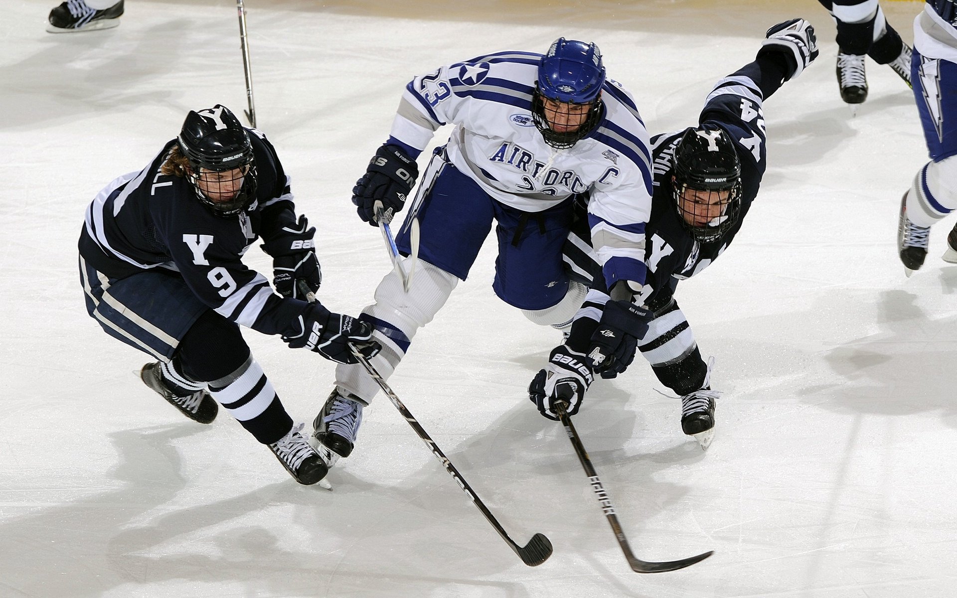九游网游官网-体育品牌加大投入布局高校市场，学校体育品牌